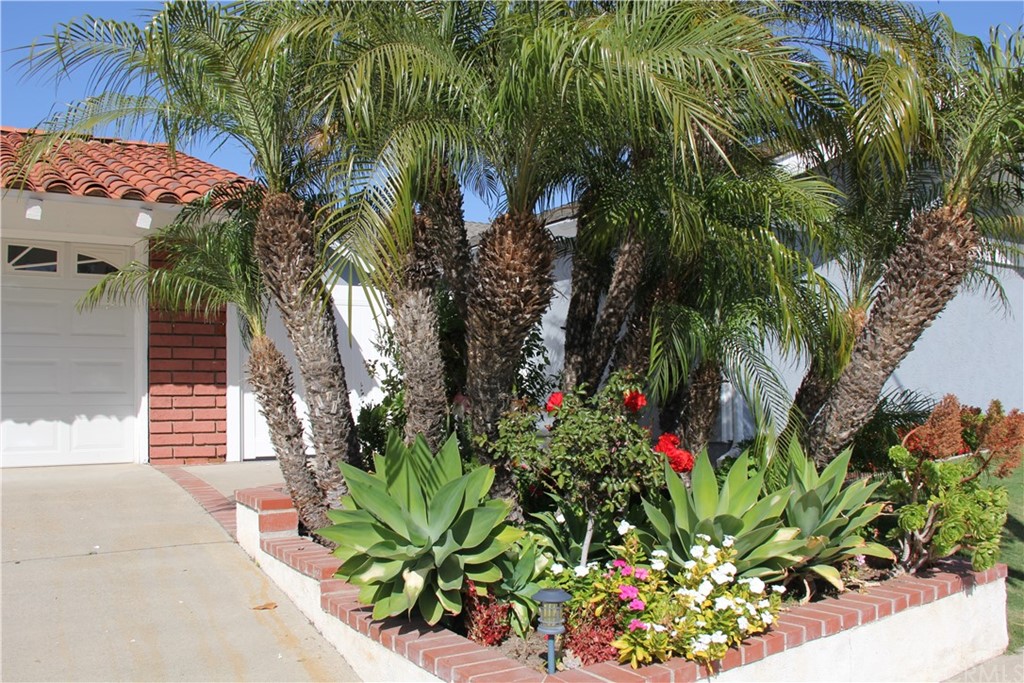 5321 Strasbourg Avenue Irvine, CA 92604 - Photo 3 of 28 a plant that is in front of a house
