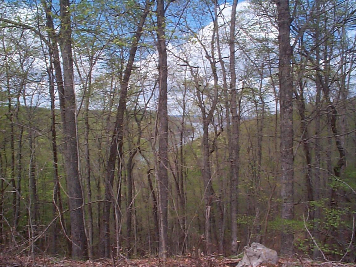 1 Bobcat Road Salt Lick, KY 40371 - Photo 2 of 3 Photo 2