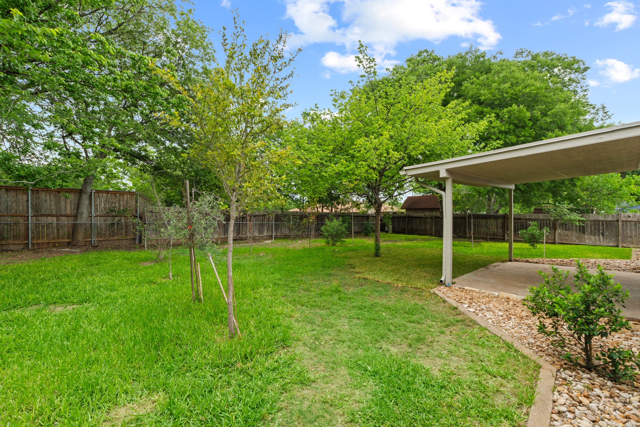 1608 Springer Lane Austin, TX 78758 - Photo 32 of 35 Expansive grassy lawn with established trees and a privacy fence