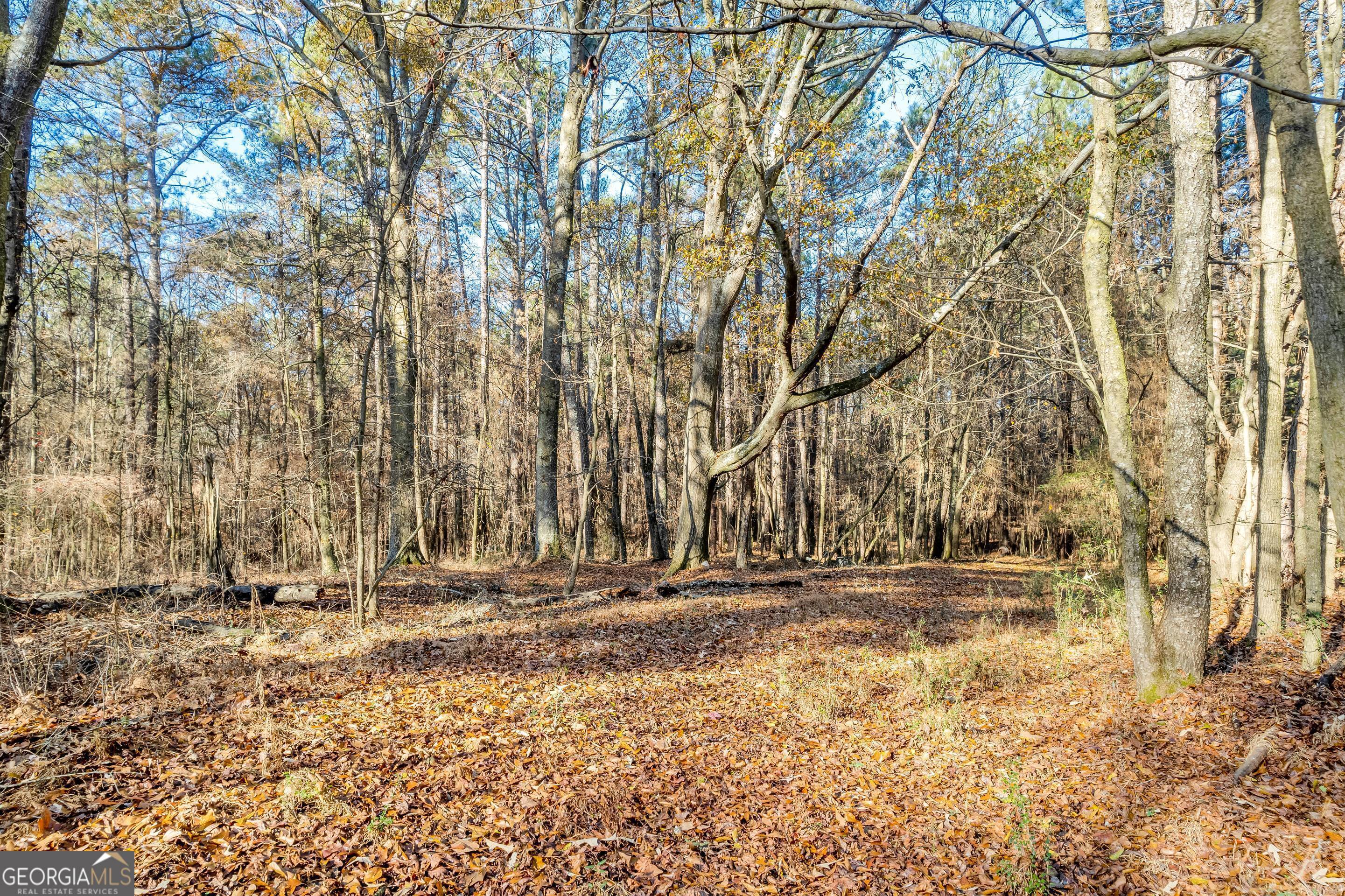 1483 Muddy Branch Road Canon, GA 30520 - Photo 1 of 1