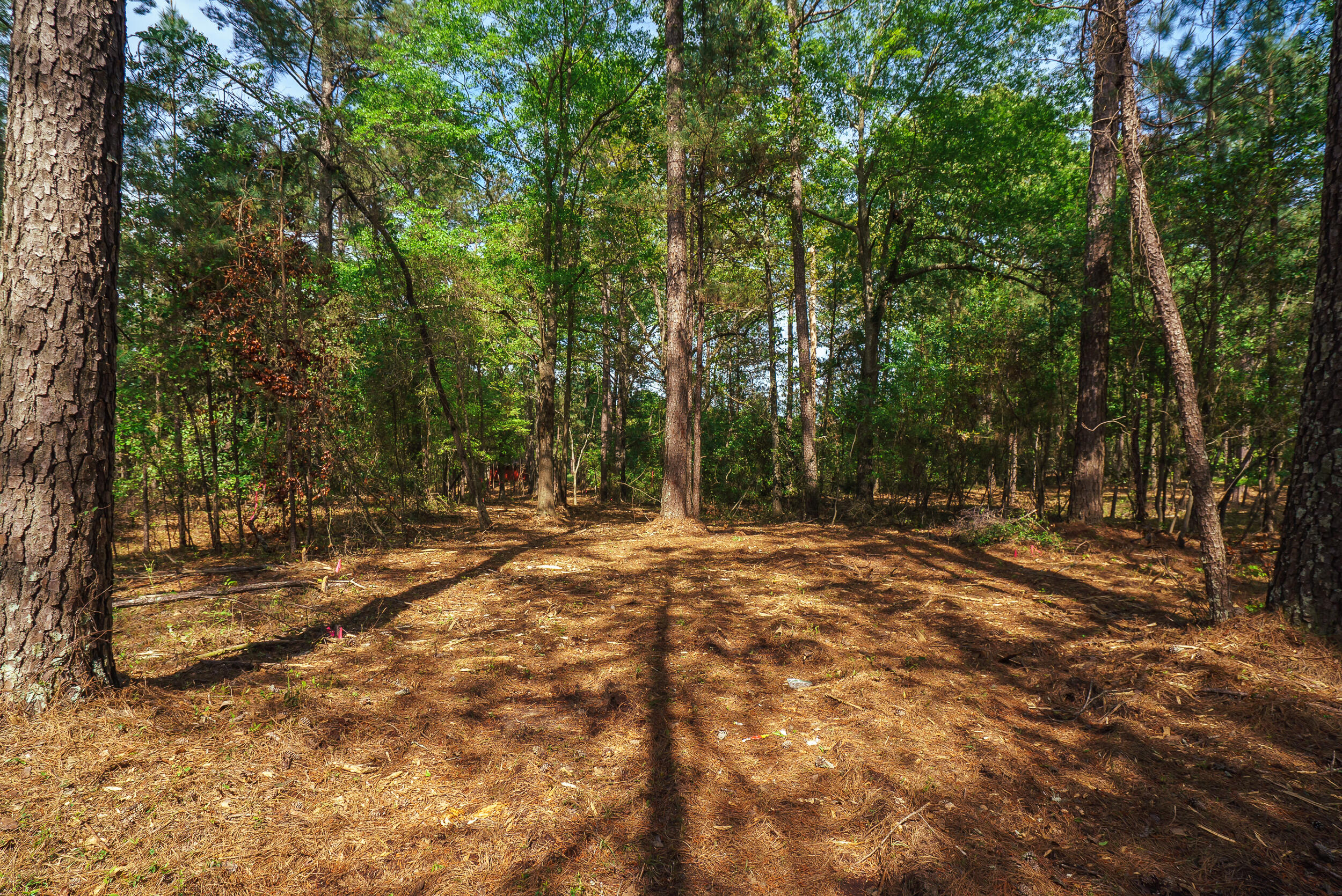Lot 3 Banks Mill Road Southeast Aiken, SC 29803 - Photo 35 of 42