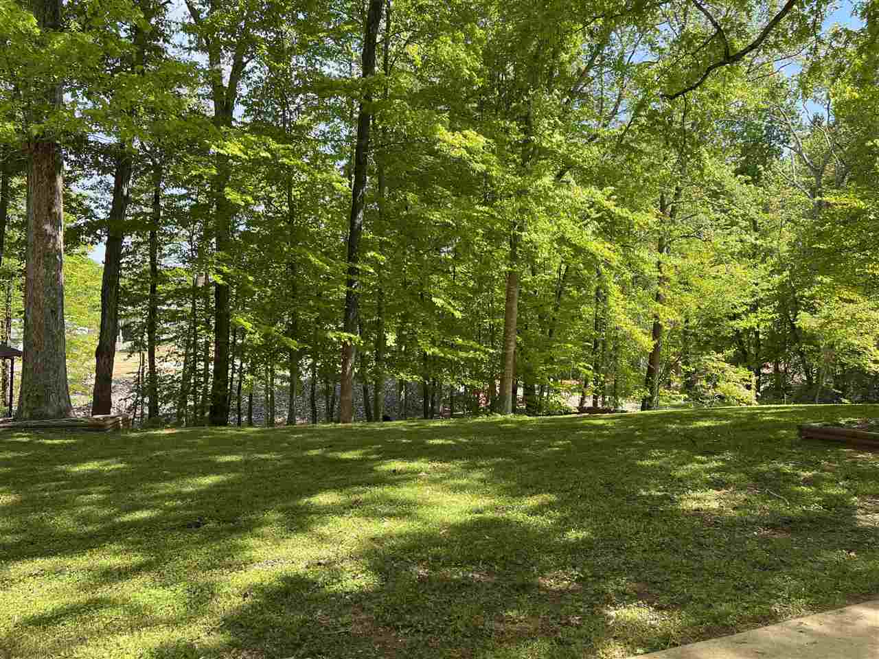 150 Old Road Counce, TN 38326 - Photo 3 of 25 Gallery Image 3