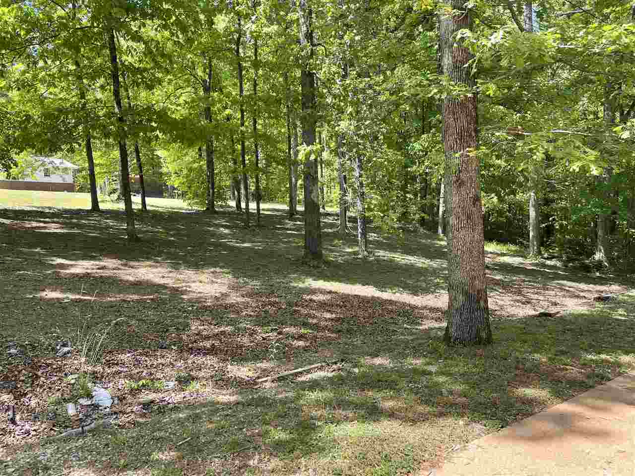 150 Old Road Counce, TN 38326 - Photo 24 of 25 Gallery Image 24