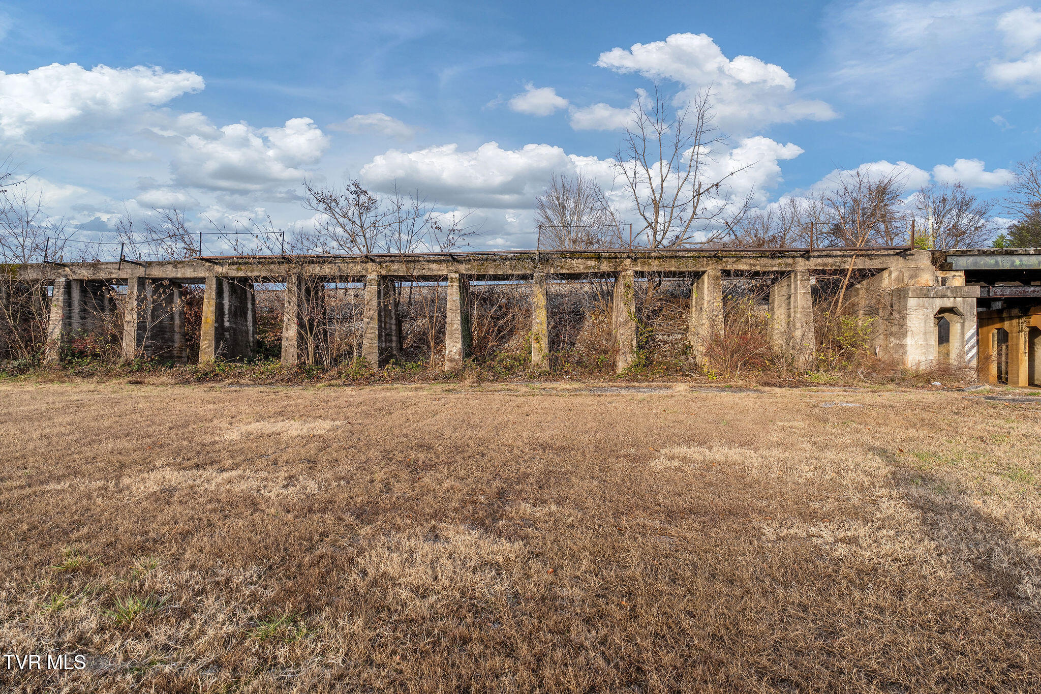 206 South Cutler Street Greeneville, TN 37743 - Photo 13 of 20 DSC03654