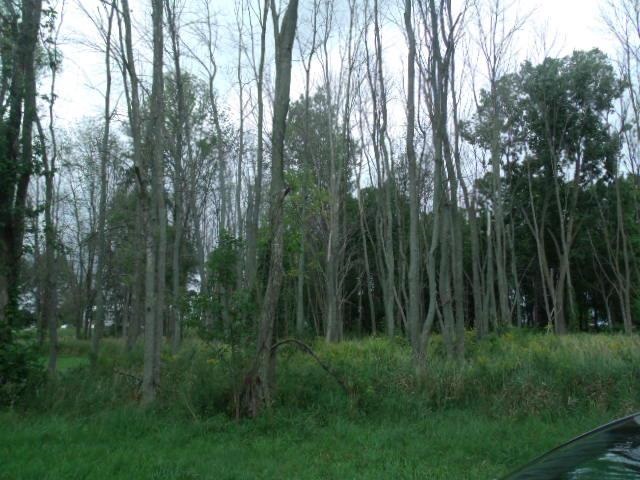 9201 East Kyle Road Pierceton, IN 46562 - Photo 21 of 23 Gallery Image 21