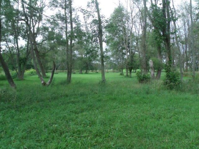 9201 East Kyle Road Pierceton, IN 46562 - Photo 22 of 23 Gallery Image 22