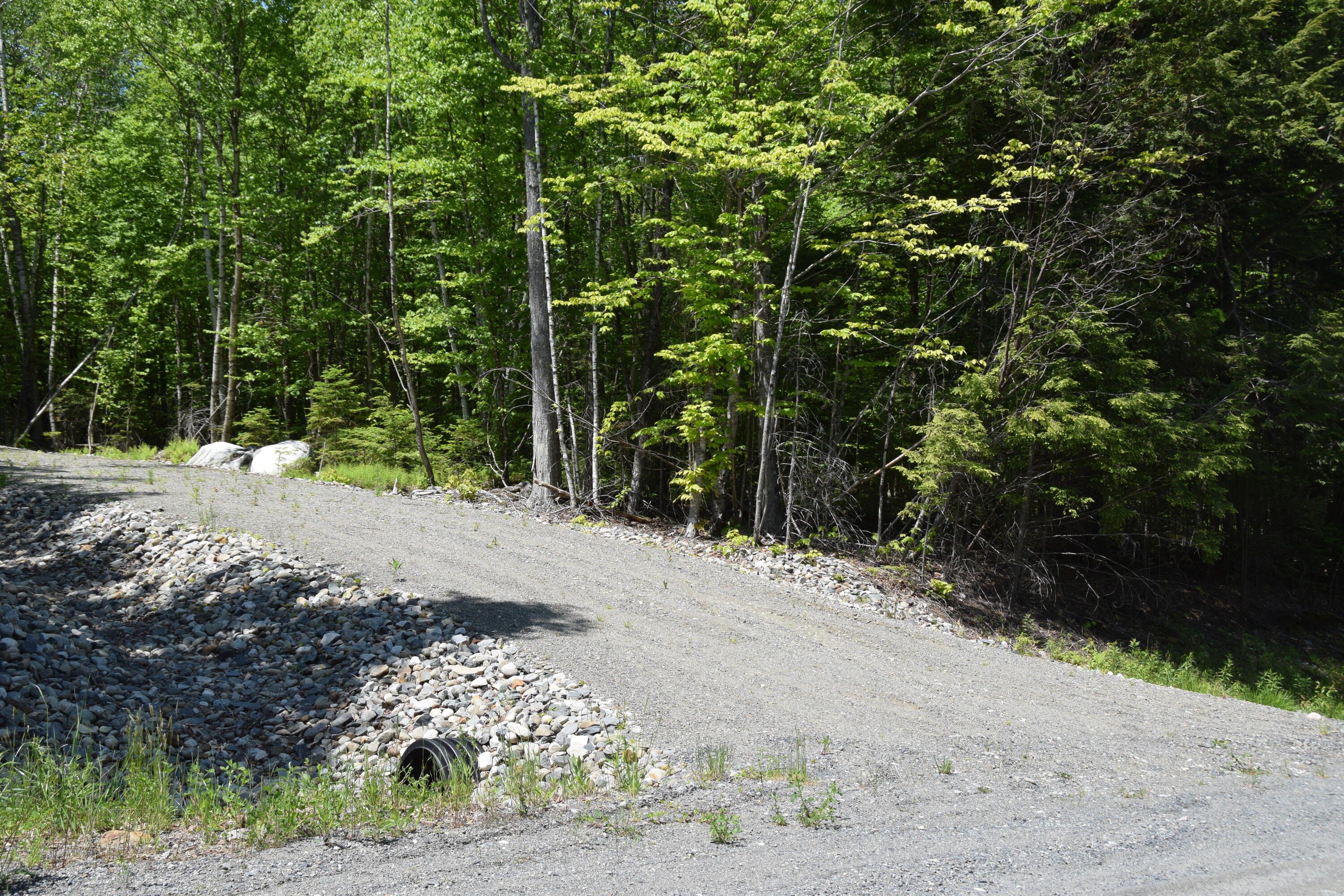 M7-l1-4 Pine Bluff Road Embden, ME 04958 - Photo 6 of 21 DSC_0009