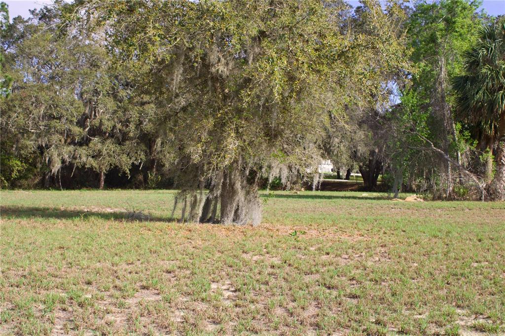 Ridge Road, Unit 47 Tavares, FL 32778 - Photo 11 of 41