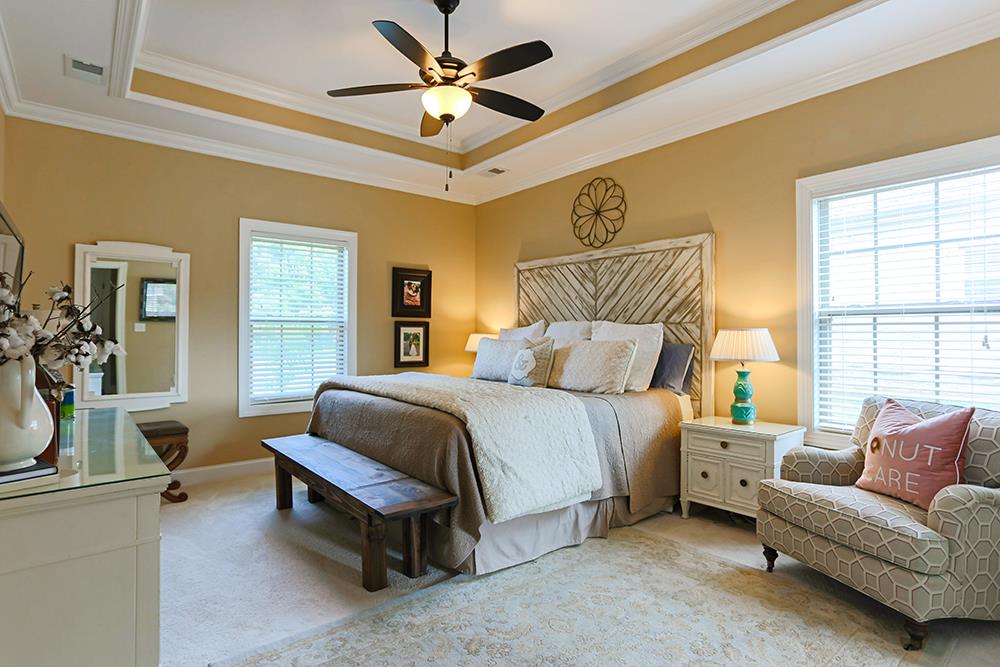 1235 Rimrock Road Smyrna, TN 37167 - Photo 14 of 28 Master has trey ceilings and lots of natural light
