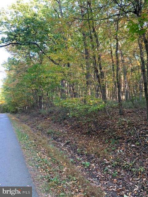 0 Chain Saw Road Dillsburg, PA 17019 - Photo 1 of 8 Gallery Image 1