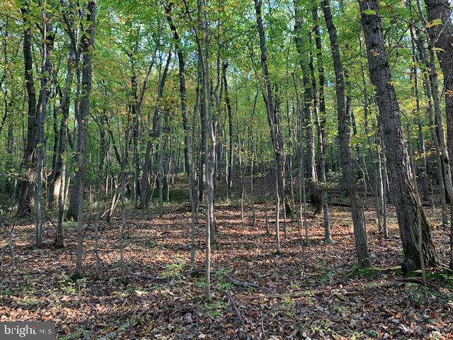 0 Chain Saw Road Dillsburg, PA 17019 - Photo 3 of 8 Gallery Image 3