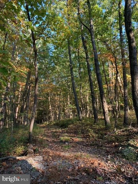 0 Chain Saw Road Dillsburg, PA 17019 - Photo 4 of 8 Gallery Image 4