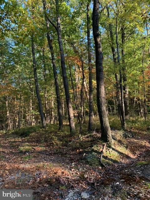 0 Chain Saw Road Dillsburg, PA 17019 - Photo 5 of 8 Gallery Image 5