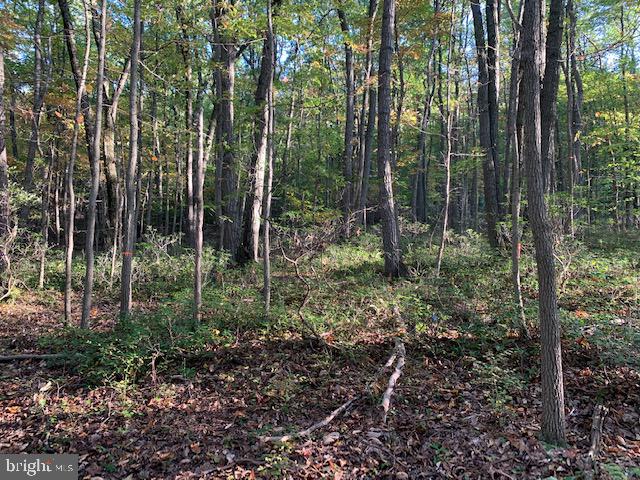 0 Chain Saw Road Dillsburg, PA 17019 - Photo 6 of 8 Gallery Image 6