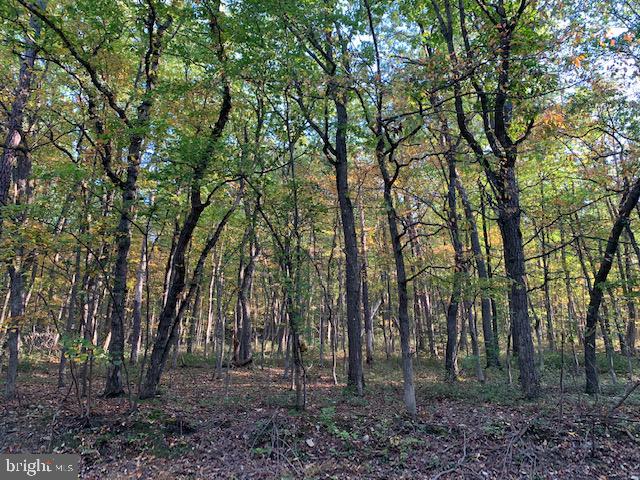 0 Chain Saw Road Dillsburg, PA 17019 - Photo 7 of 8 Gallery Image 7