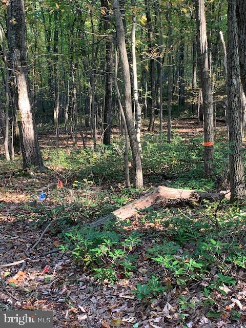 0 Chain Saw Road Dillsburg, PA 17019 - Photo 8 of 8 Gallery Image 8