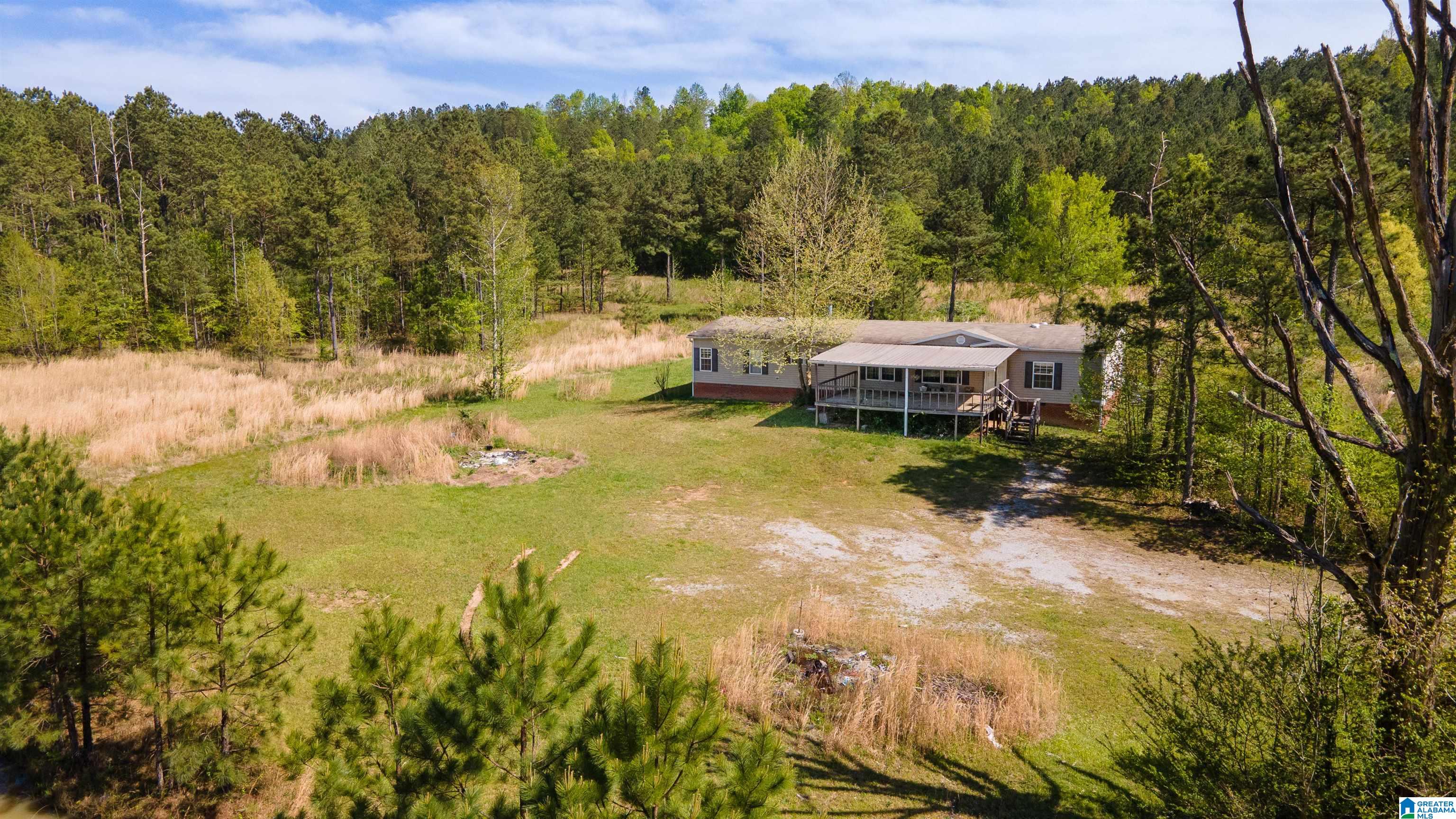3554 Possum Trot Road Piedmont, AL 36272 - Photo 1 of 18