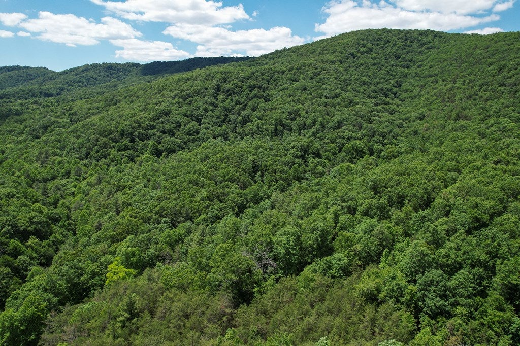 Tbd Pleasantview Road, Unit 72 Austinville, VA 24312 - Photo 32 of 63 Gallery Image 32