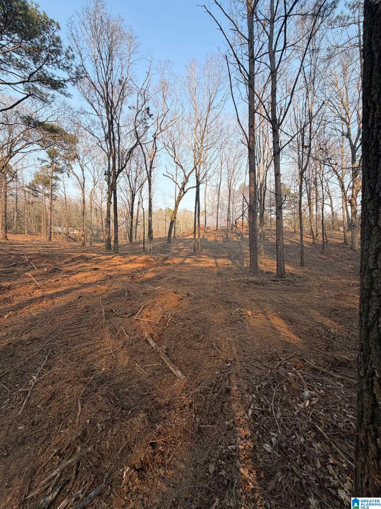 1895 Eureka Road Lincoln, AL 35096 - Photo 1 of 3