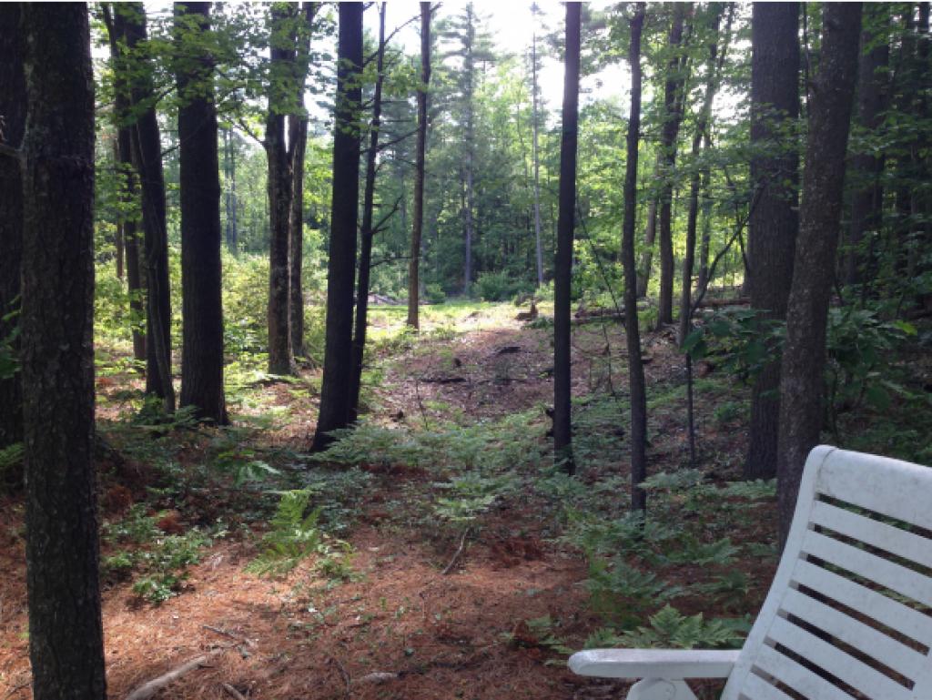 88 Lower Gulf Road Lyndeborough, NH 03082 - Photo 22 of 31