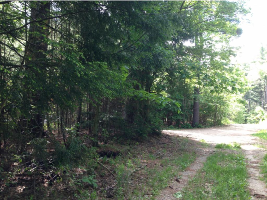 88 Lower Gulf Road Lyndeborough, NH 03082 - Photo 23 of 31