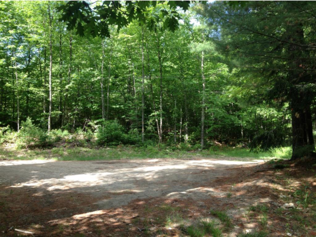 88 Lower Gulf Road Lyndeborough, NH 03082 - Photo 24 of 31