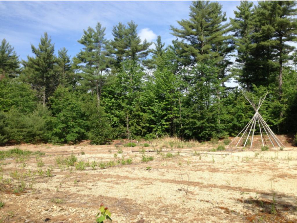 88 Lower Gulf Road Lyndeborough, NH 03082 - Photo 29 of 31