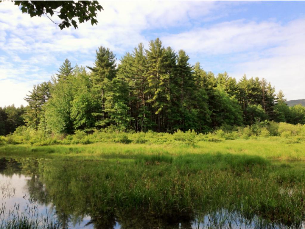 88 Lower Gulf Road Lyndeborough, NH 03082 - Photo 5 of 31