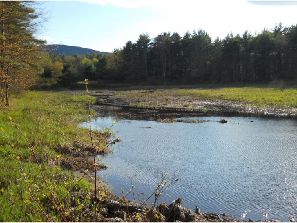 88 Lower Gulf Road Lyndeborough, NH 03082 - Photo 6 of 31