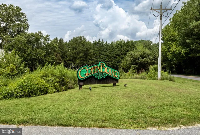 a view of a garden with a bench