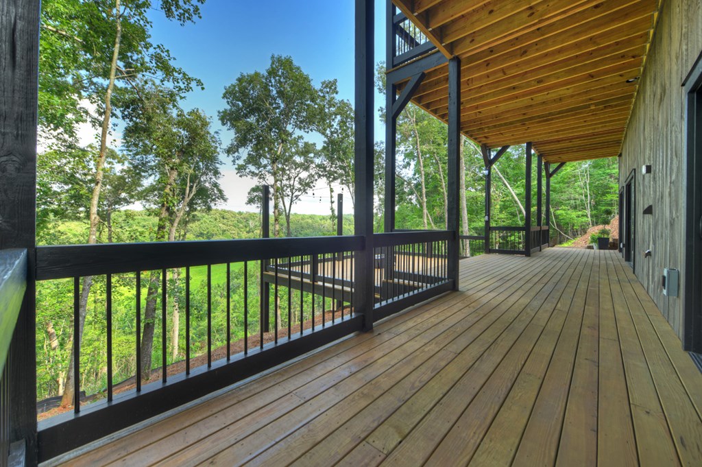 1729 Barnes Chapel Road Blue Ridge, GA 30513 - Photo 42 of 62