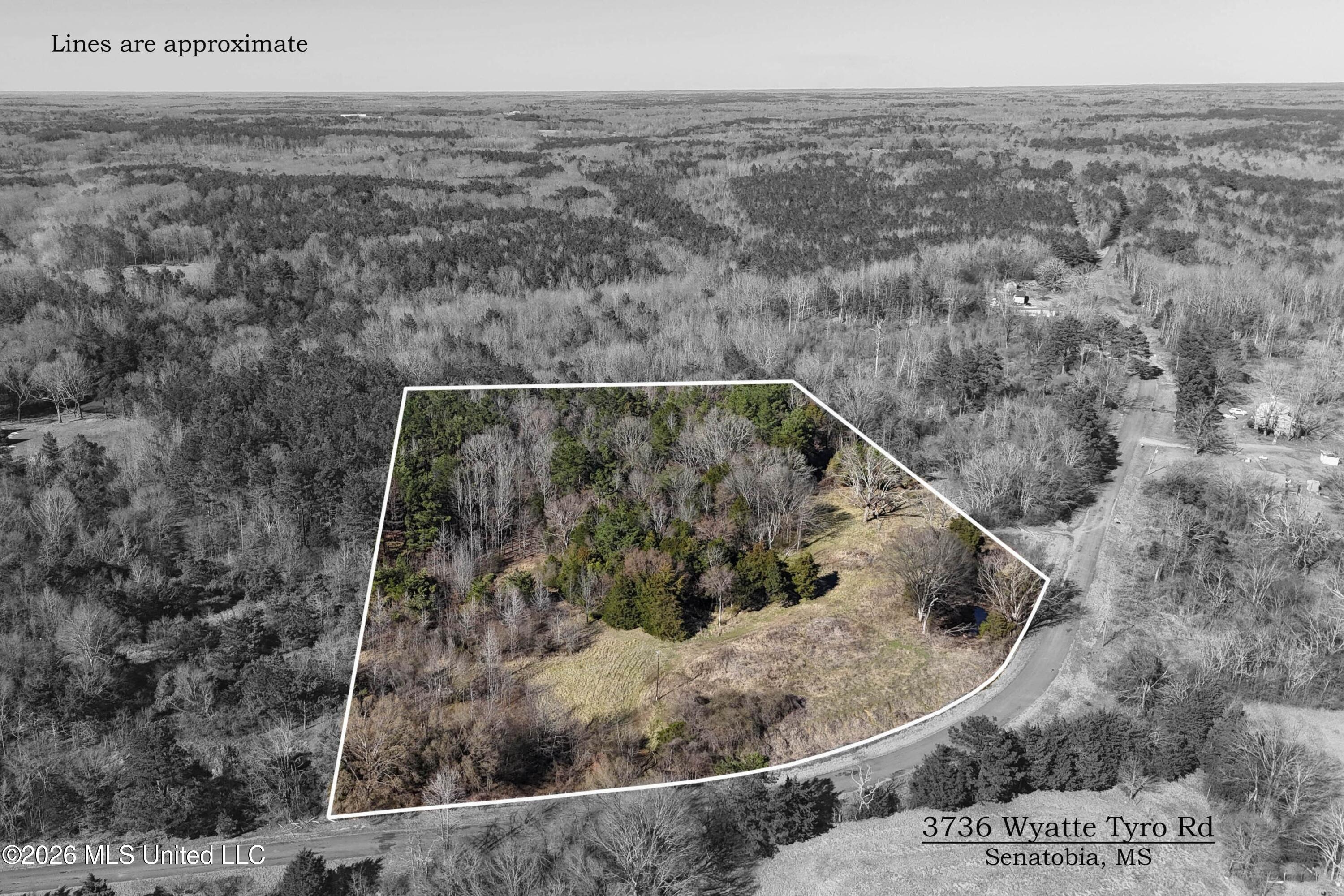 3736 Wyatte-Tyro Road Senatobia, MS 38668 - Photo 1 of 20 DJI_20260227153836_0845_D copy 2BW