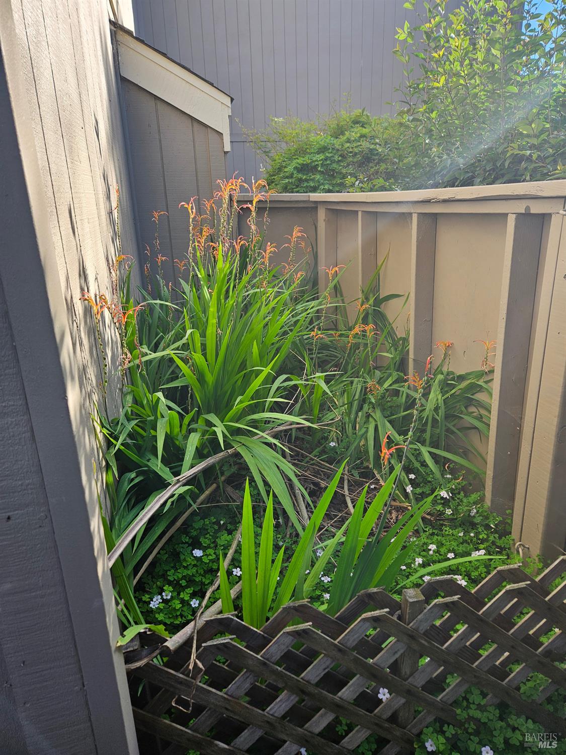 7643 Camino Colegio Rohnert Park, CA 94928 - Photo 8 of 10 a view of a garden with plants