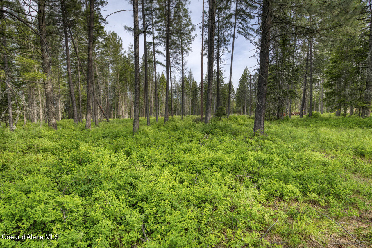 Nna Holmes Road Bonners Ferry, ID 83805 - Photo 5 of 9 .