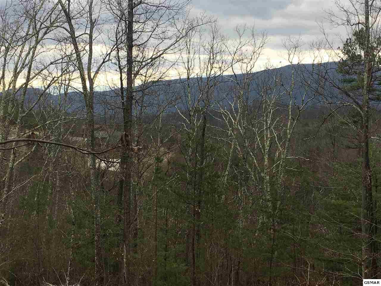 18 Stackstone Road Sevierville, TN 37862 - Photo 3 of 6