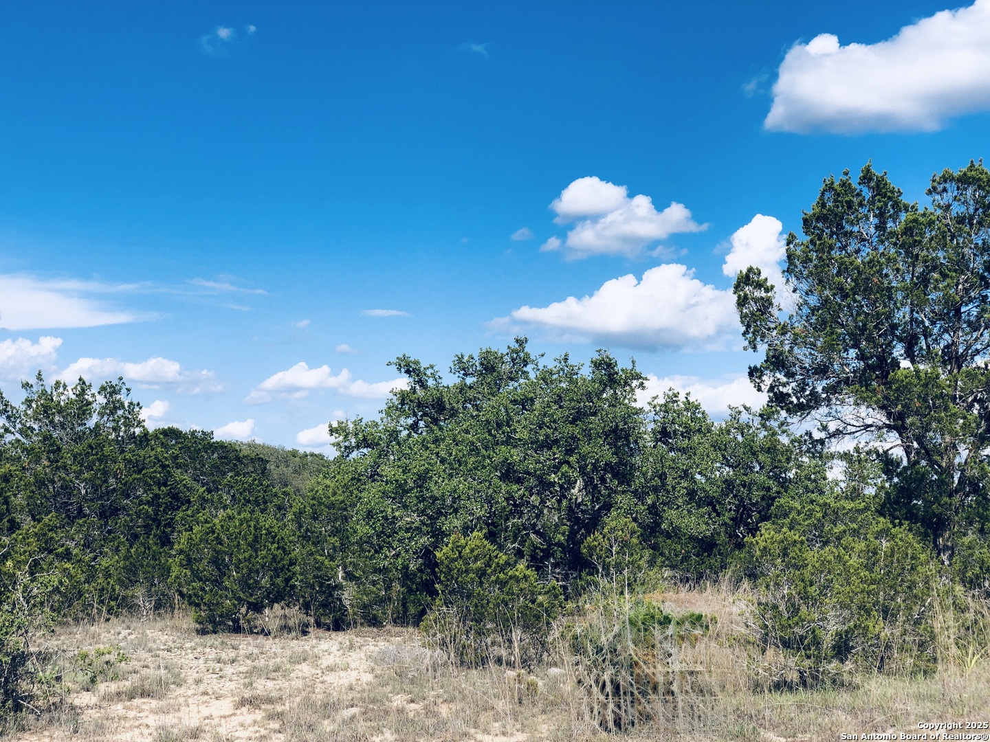 1020 Cliff Circle Spring Branch, TX 78070 - Photo 1 of 14