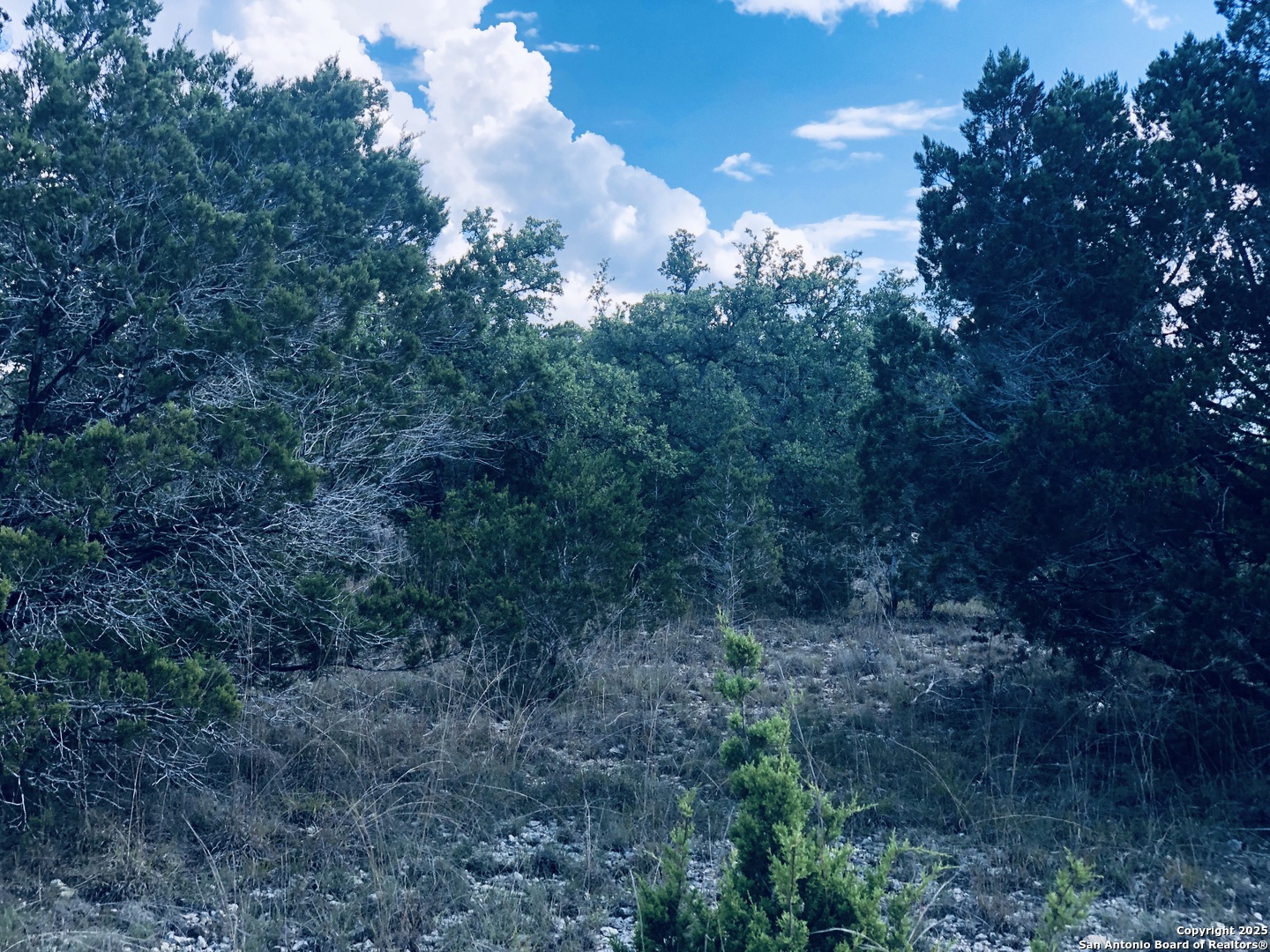 1020 Cliff Circle Spring Branch, TX 78070 - Photo 12 of 14