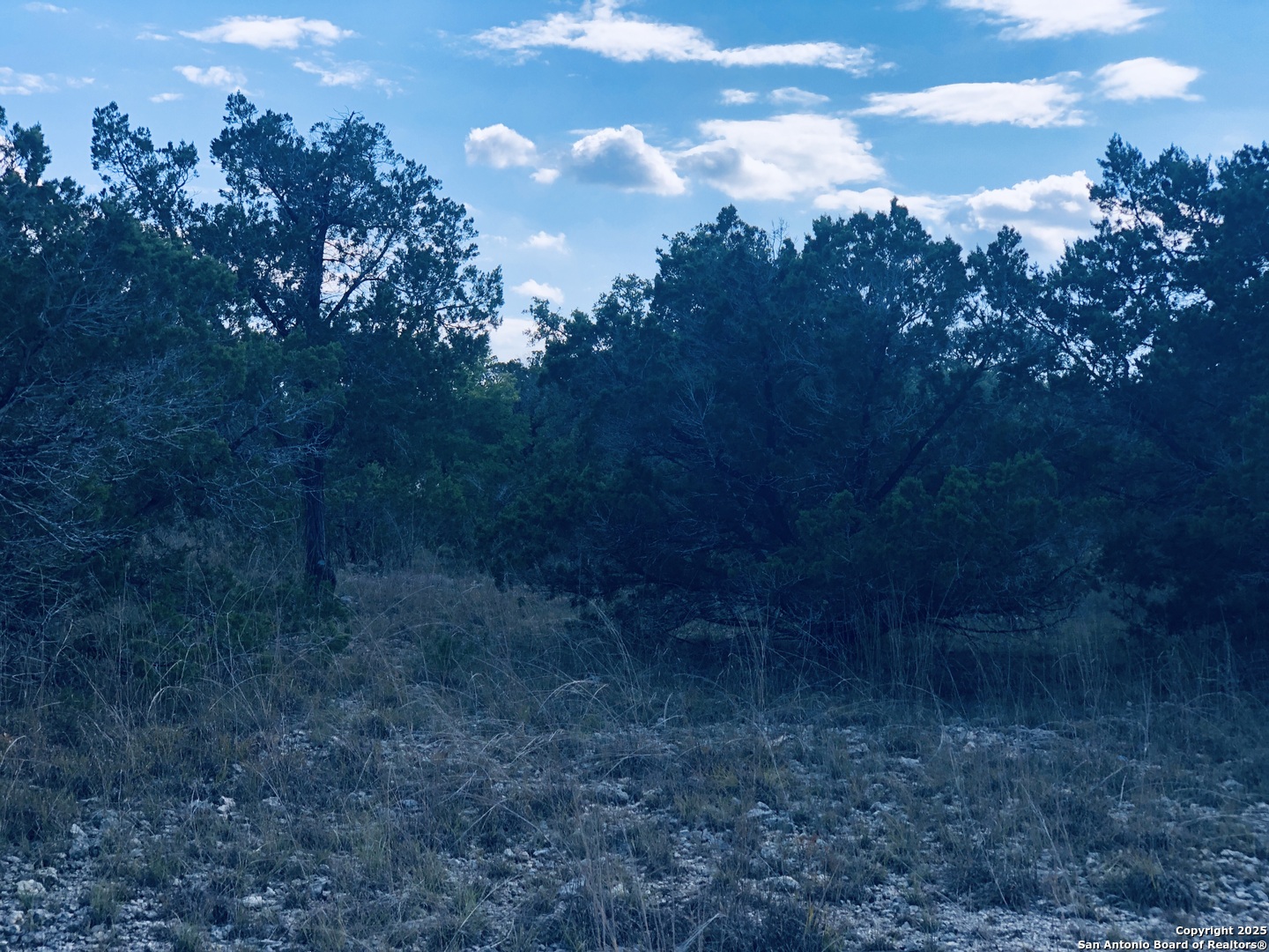 1020 Cliff Circle Spring Branch, TX 78070 - Photo 13 of 14
