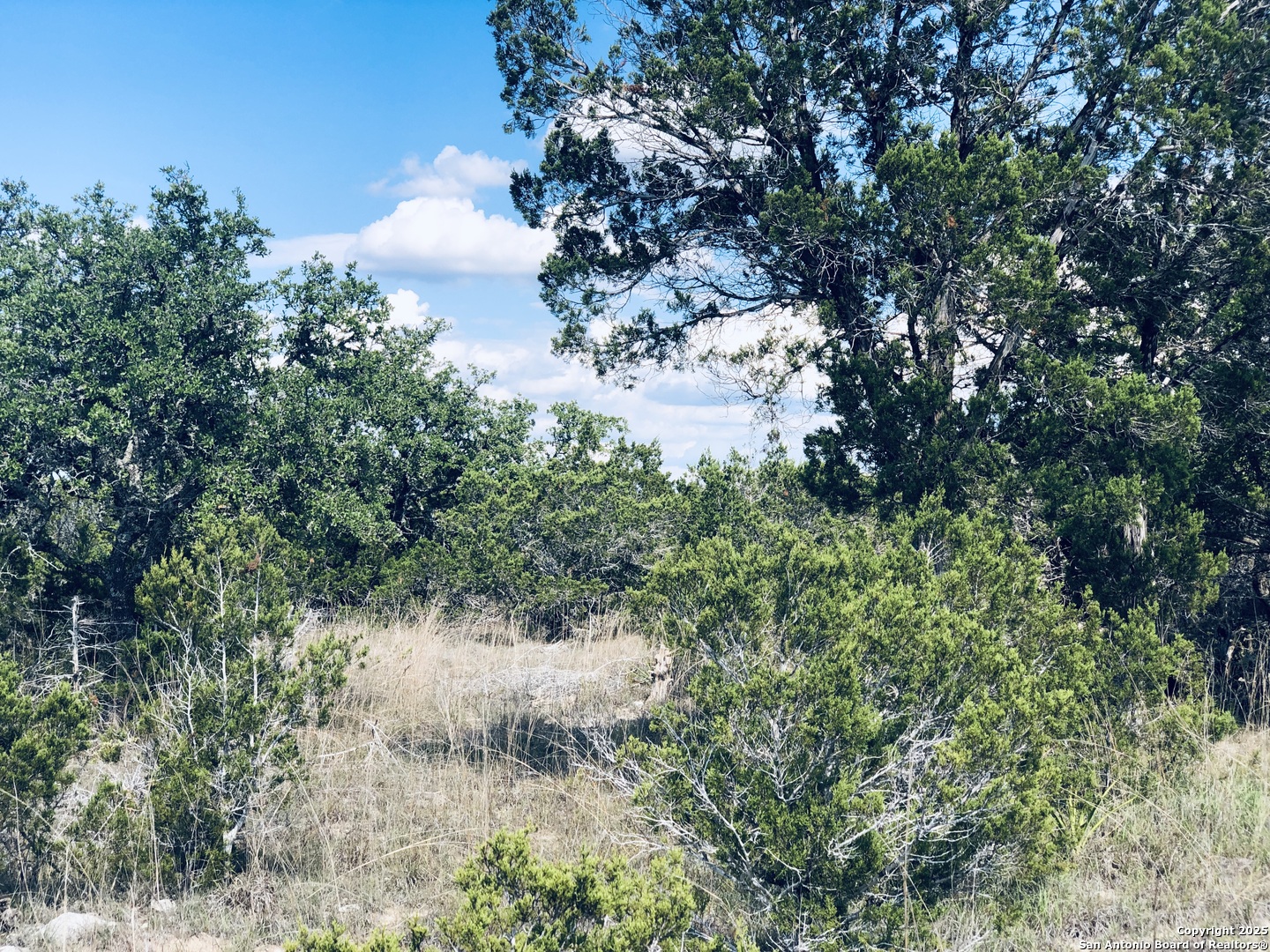 1020 Cliff Circle Spring Branch, TX 78070 - Photo 5 of 14