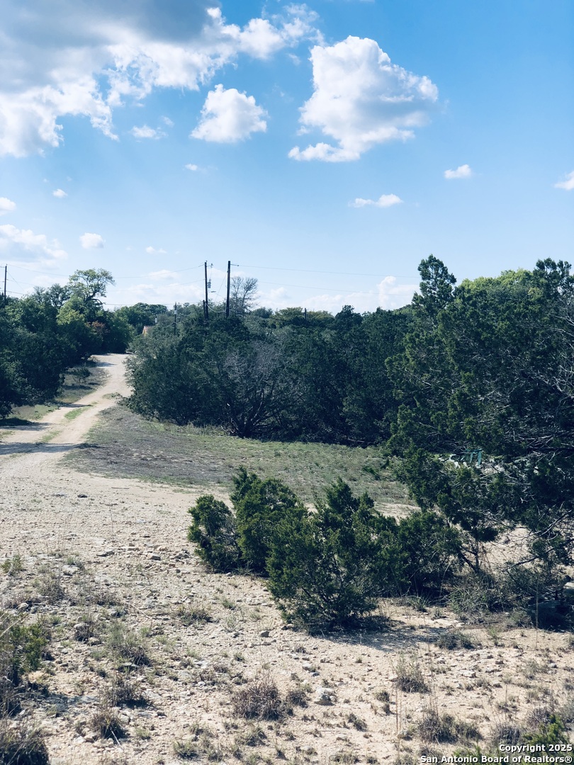 1020 Cliff Circle Spring Branch, TX 78070 - Photo 8 of 14