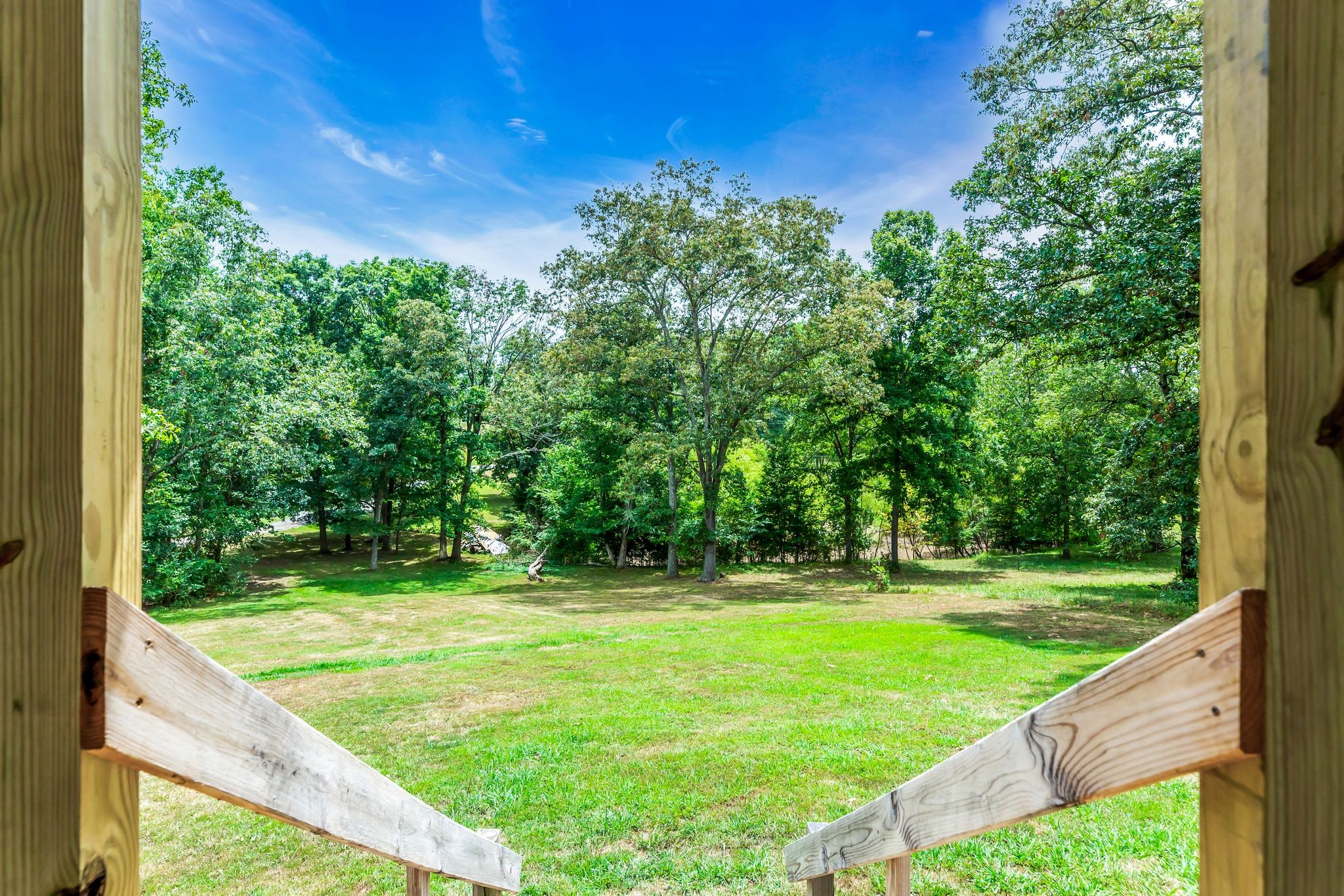 1450 Pleasant Hill Road McMinnville, TN 37110 - Photo 5 of 33 a view of a field with a tree in the background