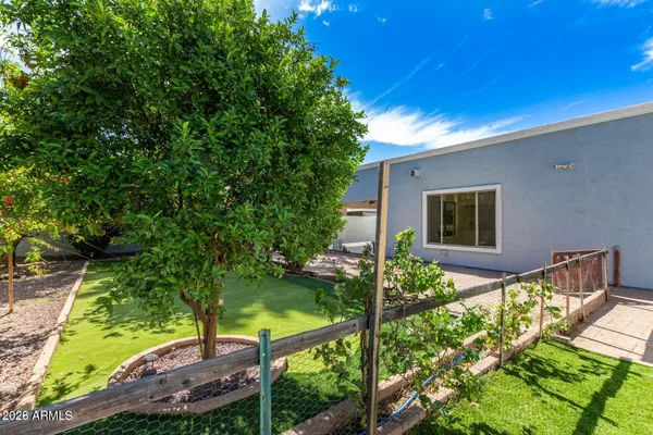 a backyard of a house with table and chairs potted plants and large tree