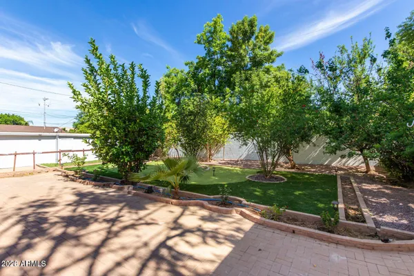 a view of a yard with potted plants and large trees