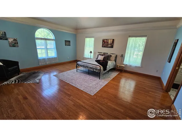a living room with a bed furniture and a window