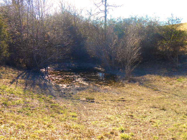 3148 Decatur Highway Kingston, TN 37763 - Photo 8 of 10 Old Pond