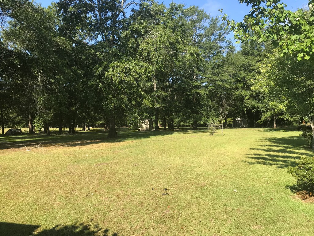 6201 Psalmond Road Midland, GA 31820 - Photo 3 of 23
