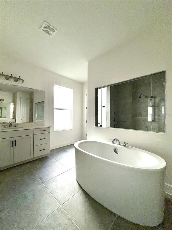 394 Switchgrass Loop Minneola, FL 34715 - Photo 24 of 26 a spacious bathroom with a tub sink and mirror