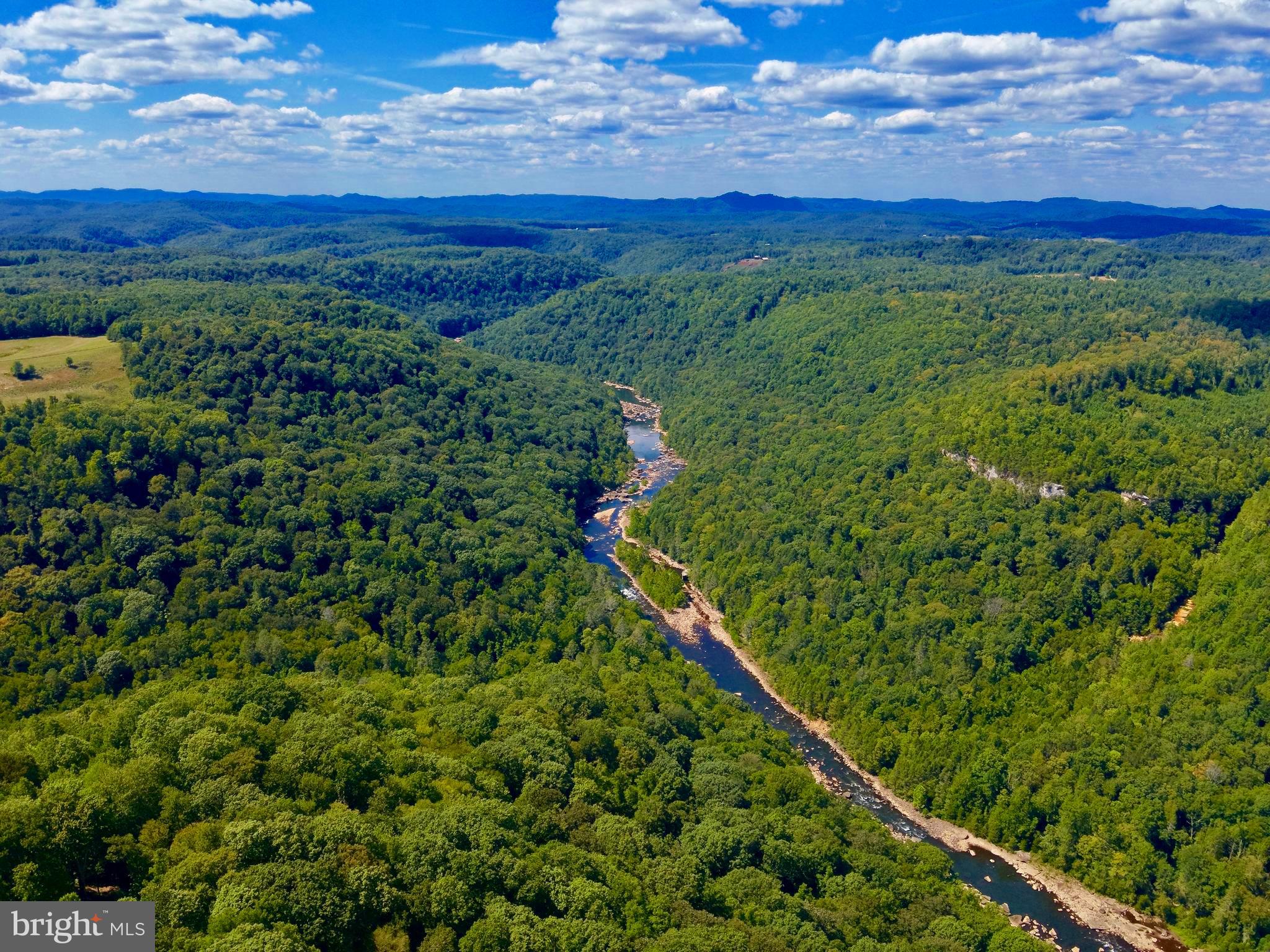 Lot 5 Gauley Ridge Rd Mount Mount Nebo, WV 26679 - Photo 4 of 15 a view of a lush green forest with a mountain