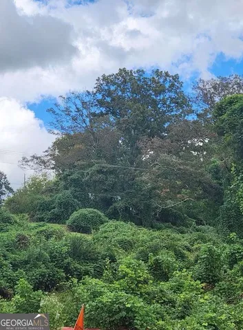 a view of a bunch of trees in a field