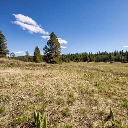 $650,000 | Lot 37 To Be Determined, Unit 37, McCall, ID 83638